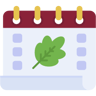 calendar flat icon