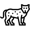cheetah line icon