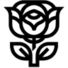 玫瑰 线条 图标