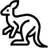 kangaroo line icon