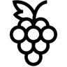 виноград линия иконка