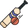 cricket lineal color icon