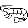 shrimp line icon