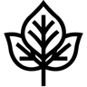 leaf line icon