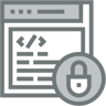 code lock two color icon
