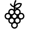 виноград линия иконка