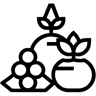 виноград линия иконка