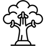 дерево линия иконка