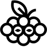 berries line icon