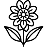 flower line icon