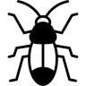 سوس duotone أيقونة
