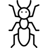 蚂蚁 线条 图标