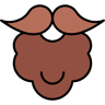 Beard lineal color icon