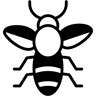 蜜蜂 双色调 图标