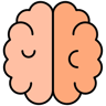 cerveau couleur linéaire icône