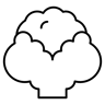 菜花 线条 图标