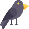 corvo flat ícone