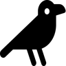Krähe gefüllt Icon