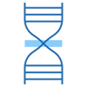 DNA due colori icona