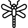 蜻蜓 线条 图标