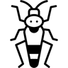 جندب duotone أيقونة