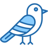 hummingbird two color icon