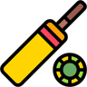 cricket bat lineal-color icon