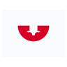 goma grande flat icono