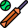 cricket lineal color icon