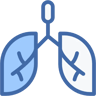 lungs two color icon