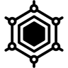 network duotone icon