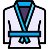 karate lineal color icon