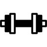 dumbbells duotone icon