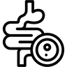 intestines line icon