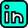 linkedin lineal farbe Icon