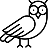 猫头鹰 线条 图标