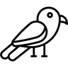 鹦鹉 线条 图标