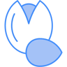 pistachio two color icon