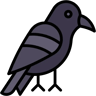 corvo cor linear ícone