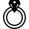 ring duotone icon