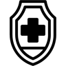 shield duotone icon