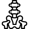 позвоночник линия иконка