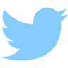twitter two color icon
