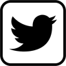 ツイッター duotone アイコン