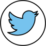 twitter logo lineal color icon