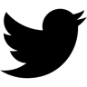 twitter gefüllt Icon
