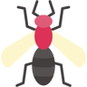 wasp flat icon
