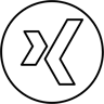 xing logo line icon